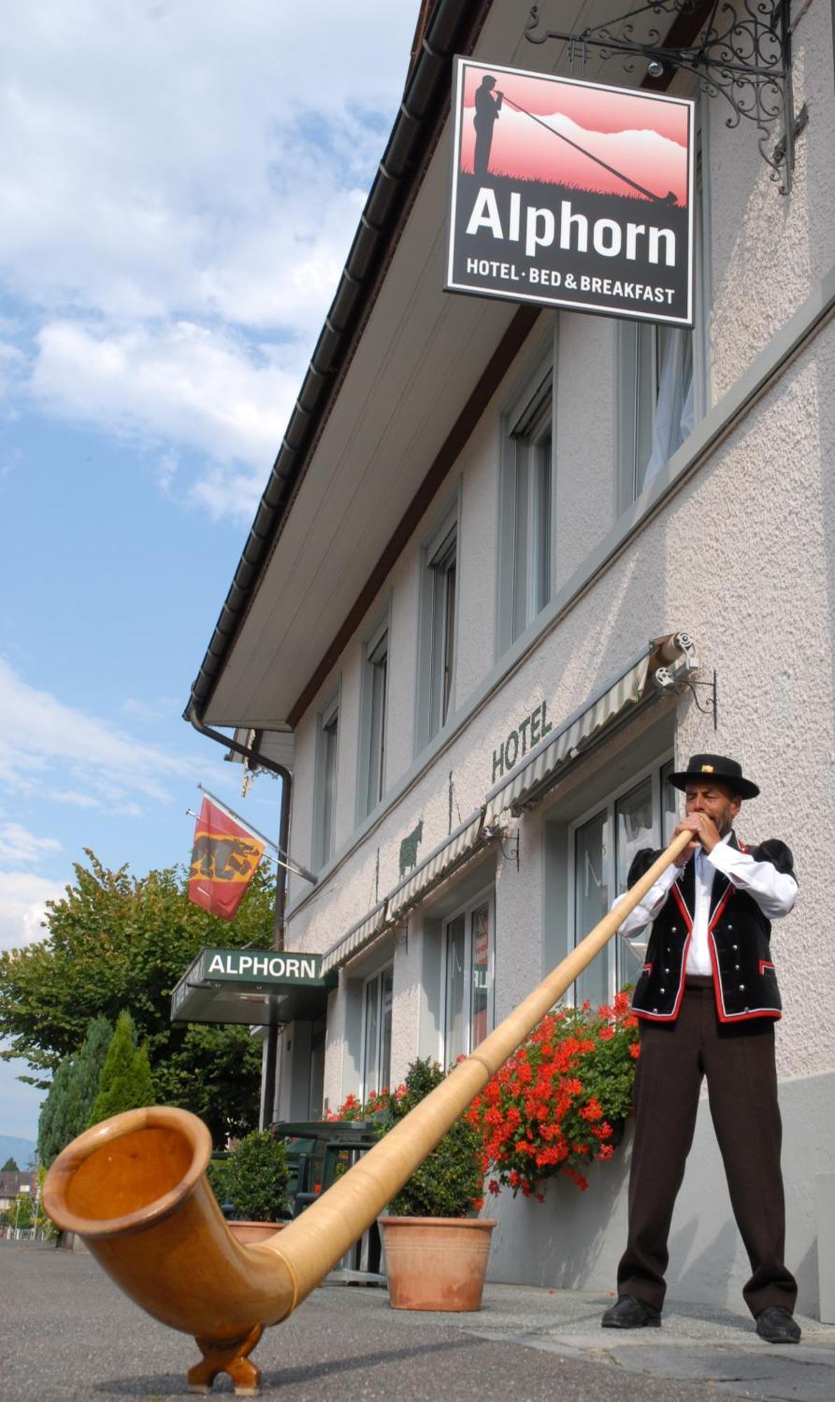 Hotel Alphorn Interlaken Extérieur photo